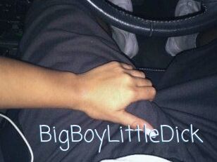 BigBoyLittleDick