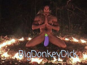 BigDonkeyDick