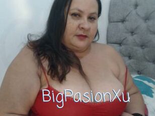 BigPasionXu