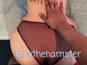 Billythehamster