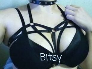 Bitsy_