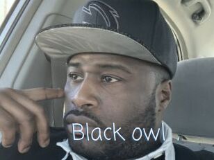 Black_owl