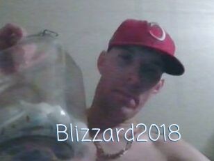 Blizzard2018