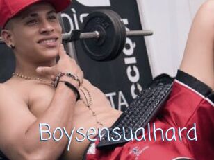 Boysensualhard