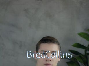 BredCollins