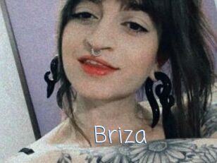 Briza