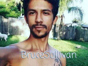 Bruce_Sullivan