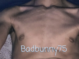 Badbunny75