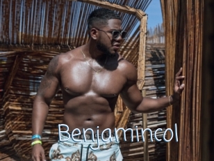 Benjamincol