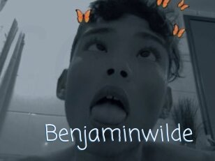 Benjaminwilde