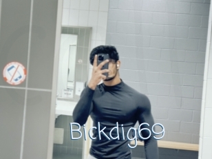 Bickdig69