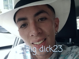 Big_dick23