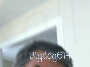 Bigdog614