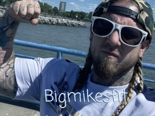 Bigmikesfit