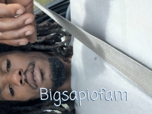 Bigsapiofam