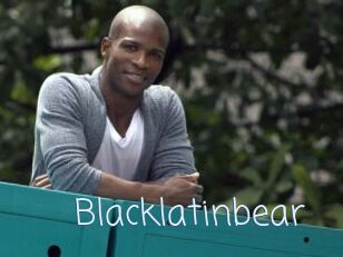 Blacklatinbear