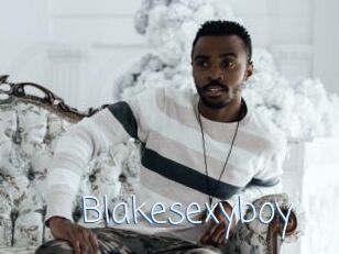 Blakesexyboy