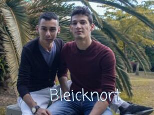 Bleicknort