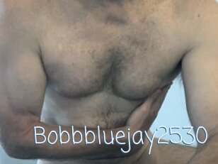 Bobbbluejay2530