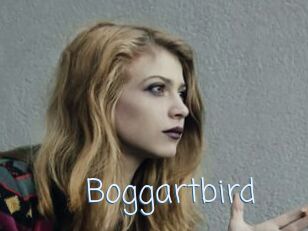 Boggartbird