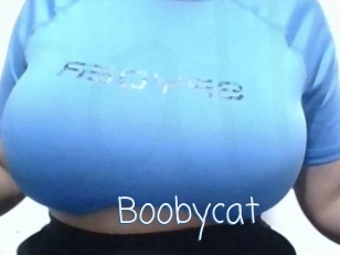 Boobycat