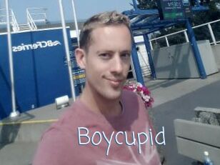 Boycupid