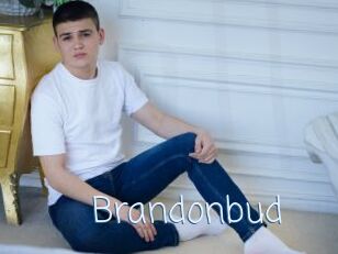 Brandonbud