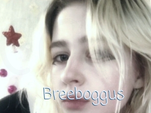 Breeboggus