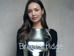 Breeestridge