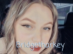 Bridgetharkey