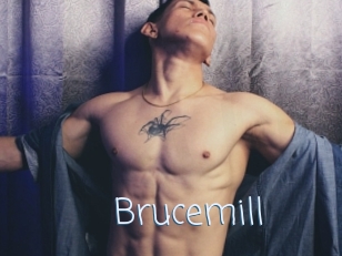 Brucemill