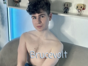 Brucevolt