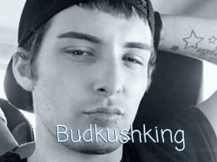 Budkushking