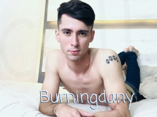 Burningdany