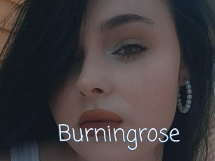 Burningrose