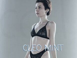 CLEO_MINT