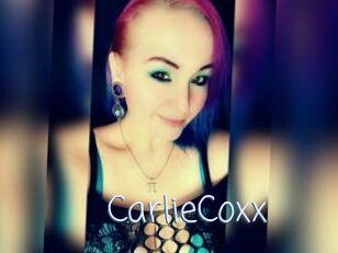 CarlieCoxx