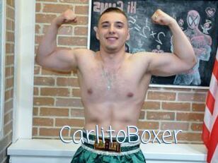 CarlitoBoxer