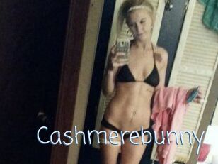 Cashmerebunny