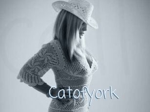 Catofyork