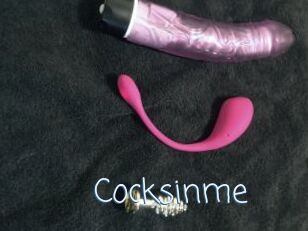 Cocksinme