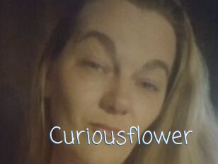 Curiousflower