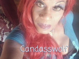 Candasswolf