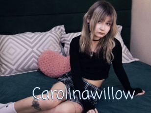 Carolinawillow