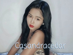 Casandracedar