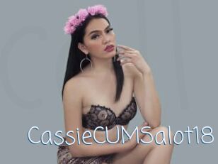 CassieCUMSalot18