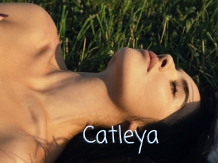 Catleya