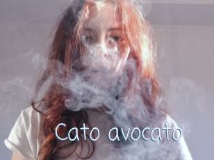 Cato_avocato