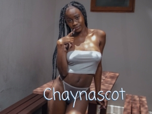 Chaynascot