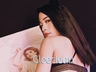 Cloeclean